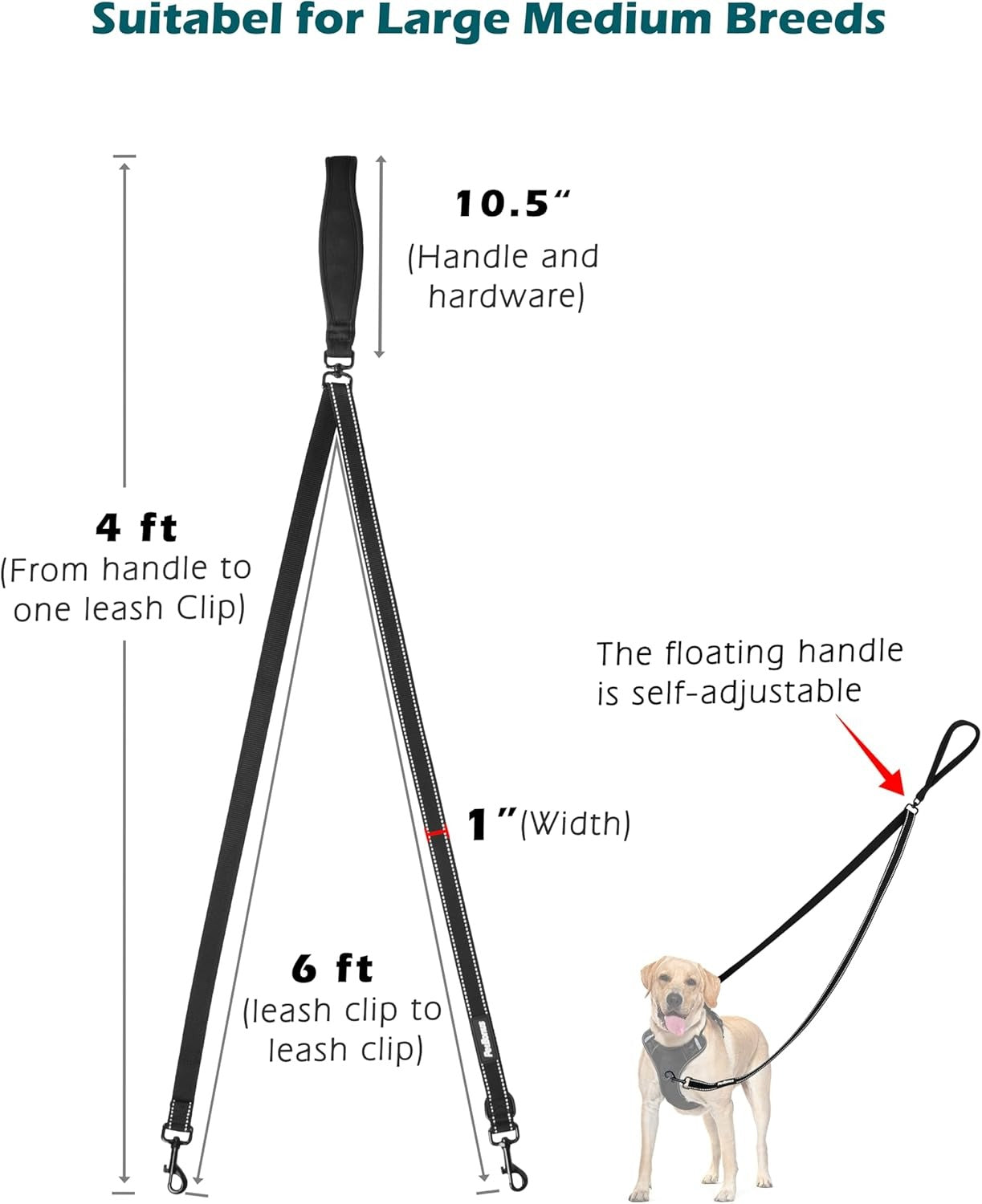 Two Point Dog Leash for No Pull Harnesses, Reflective Soft Padded Walking Lead, Anti-Tangle Dual Clip Leash Converts to Single Leash for Medium and Large Dogs, Safe Day and Night Walks (Black)