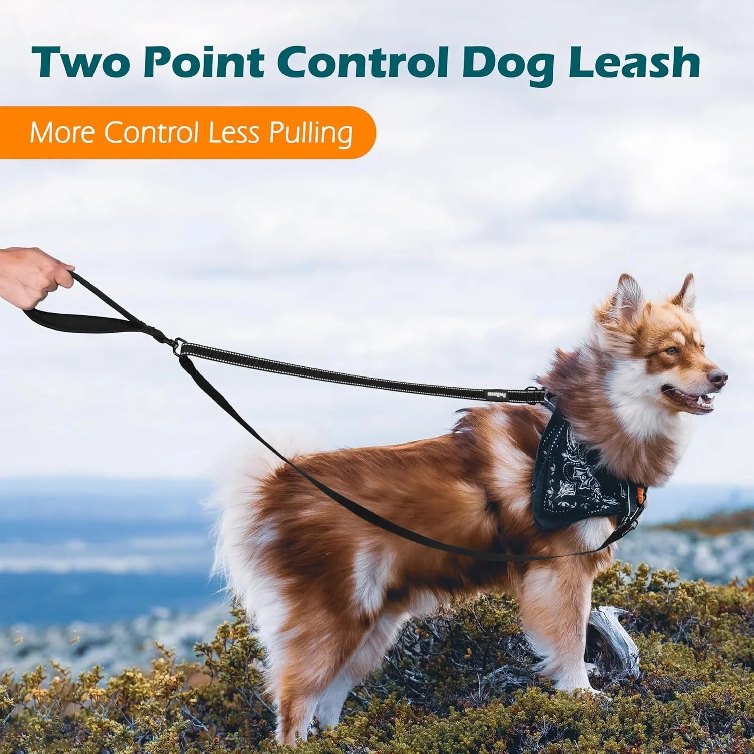 Two Point Dog Leash for No Pull Harnesses, Reflective Soft Padded Walking Lead, Anti-Tangle Dual Clip Leash Converts to Single Leash for Medium and Large Dogs, Safe Day and Night Walks (Black)