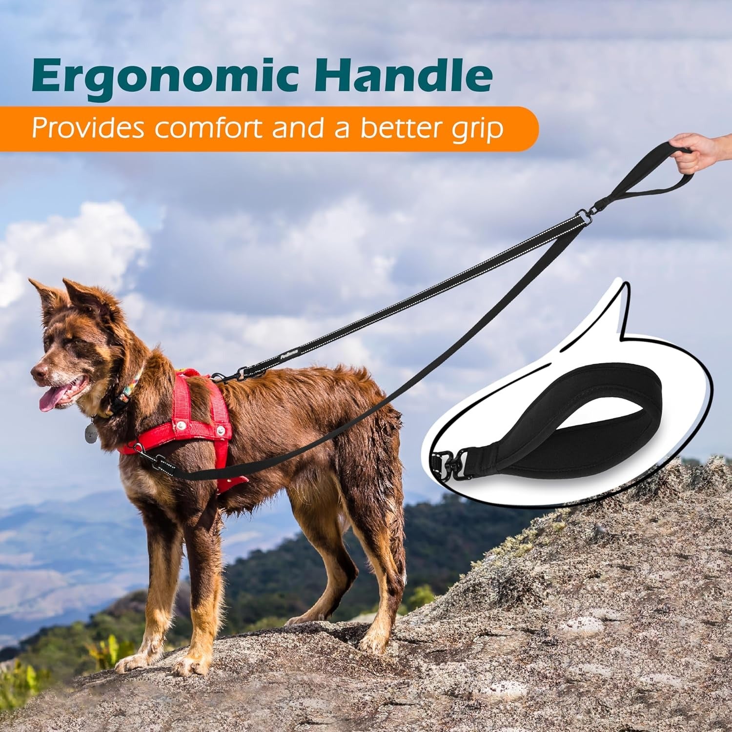 Two Point Dog Leash for No Pull Harnesses, Reflective Soft Padded Walking Lead, Anti-Tangle Dual Clip Leash Converts to Single Leash for Medium and Large Dogs, Safe Day and Night Walks (Black)
