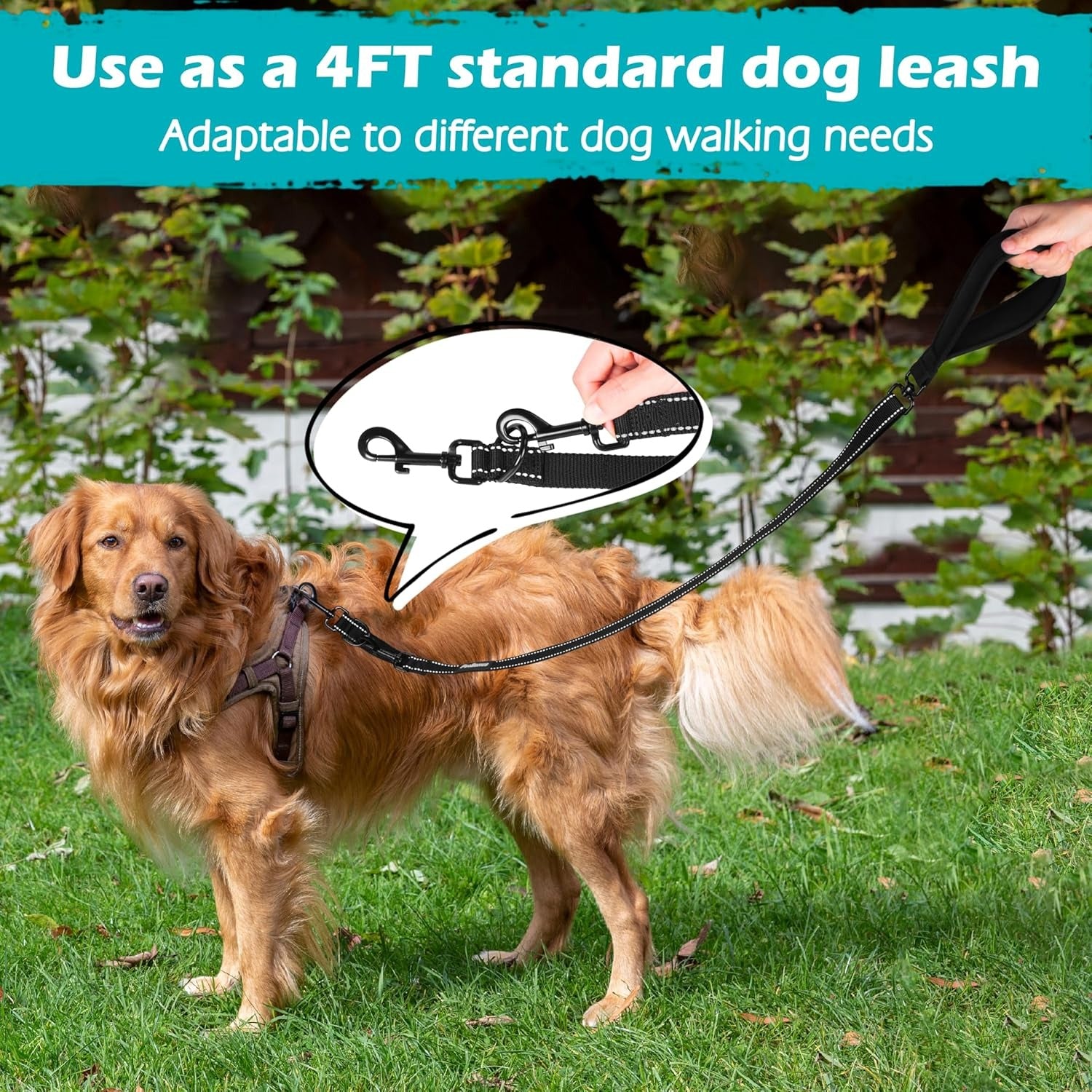 Two Point Dog Leash for No Pull Harnesses, Reflective Soft Padded Walking Lead, Anti-Tangle Dual Clip Leash Converts to Single Leash for Medium and Large Dogs, Safe Day and Night Walks (Black)