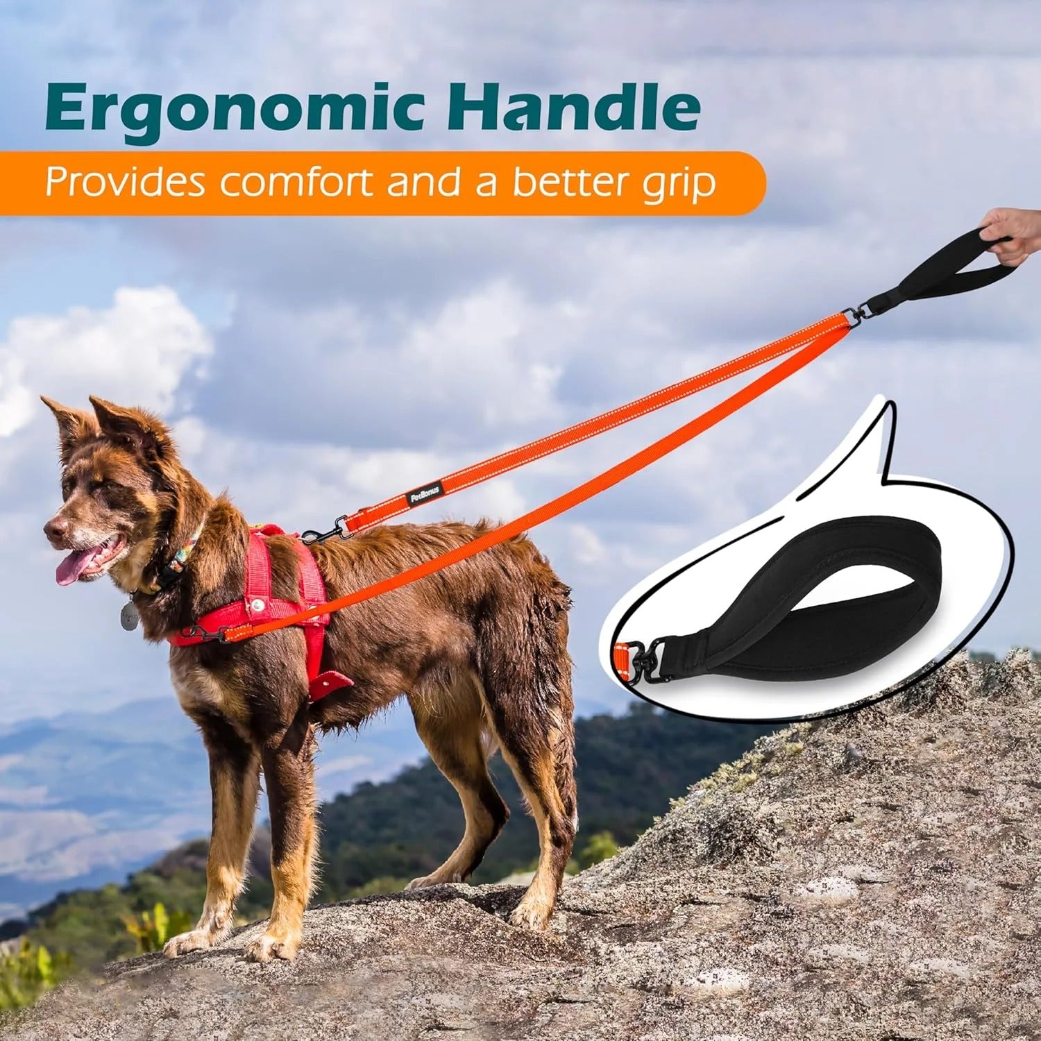 Two Point Dog Leash for No Pull Harnesses, Reflective Soft Padded Walking Lead, Anti-Tangle Dual Clip Leash Converts to Single Leash for Medium and Large Dogs, Durable Orange Dog Walking Leash for Day and Night Safety