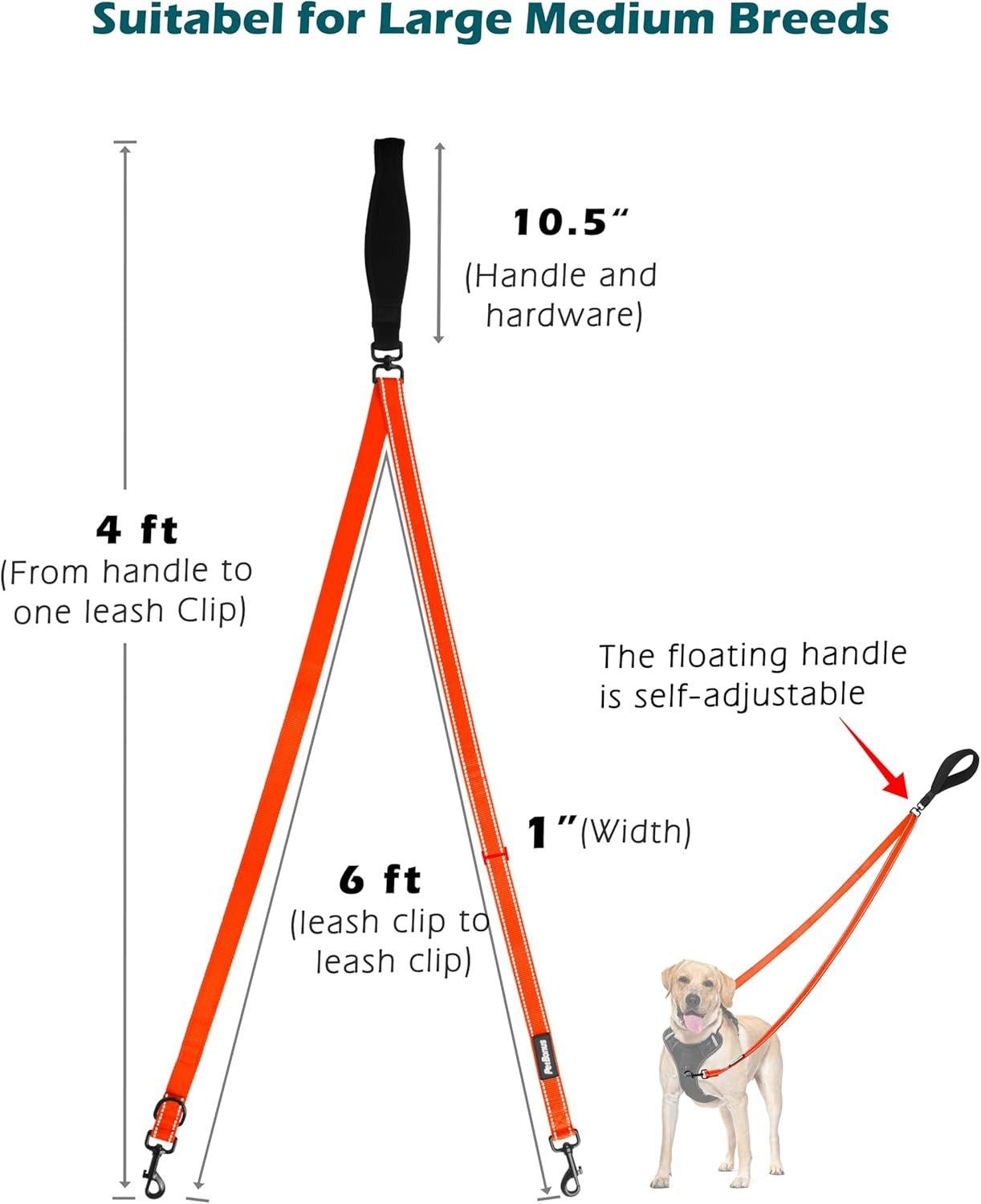 Two Point Dog Leash for No Pull Harnesses, Reflective Soft Padded Walking Lead, Anti-Tangle Dual Clip Leash Converts to Single Leash for Medium and Large Dogs, Durable Orange Dog Walking Leash for Day and Night Safety