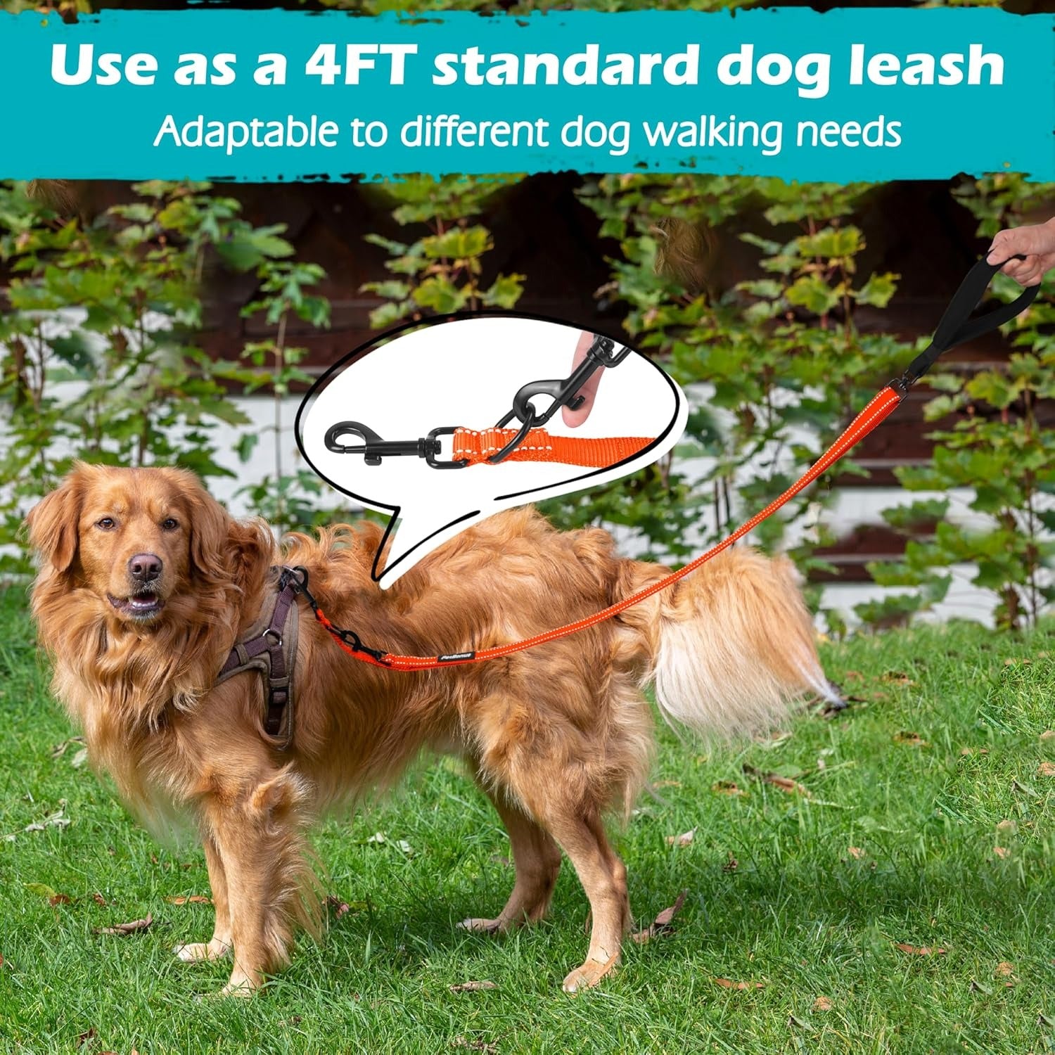 Two Point Dog Leash for No Pull Harnesses, Reflective Soft Padded Walking Lead, Anti-Tangle Dual Clip Leash Converts to Single Leash for Medium and Large Dogs, Durable Orange Dog Walking Leash for Day and Night Safety