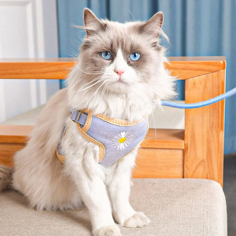 Adjustable Cat and Dog Leash Set with Chest and Back Harness, Anti-Loss Pet Walking Rope, Breathable Summer Mesh Fabric, Anti-Strangulation and Secure Walking Leash for Cats and Dogs