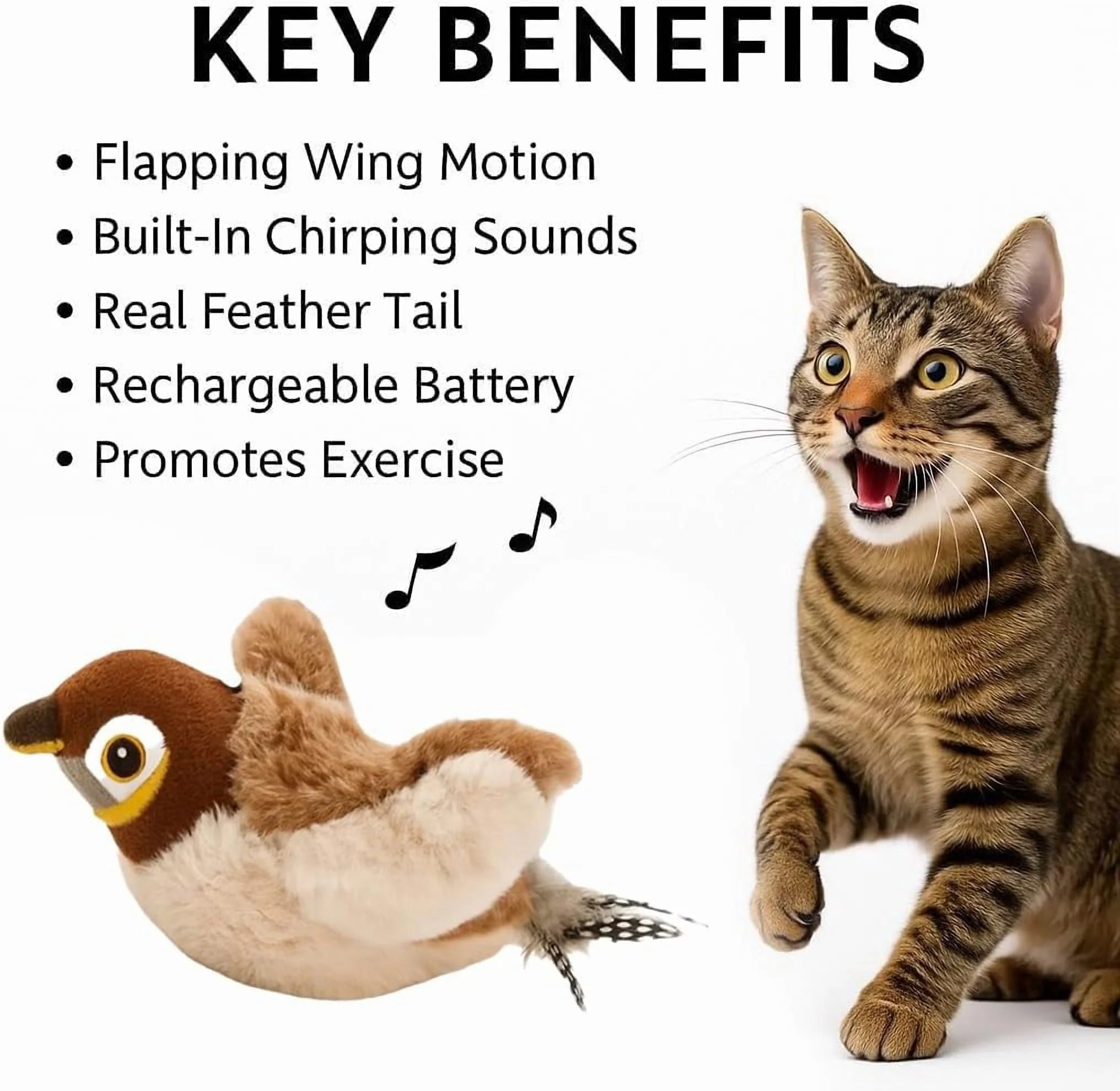 Interactive Flapping Sparrow Cat Toy with USB Rechargeable Battery, Lifelike Feathers, Chirping Sounds & Touch Activation, Catnip-Infused Indoor Play Toy for Adult Cats and Kittens